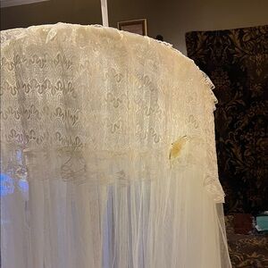 Midnight Velvet Lace Canopy in Cream